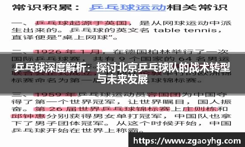 拉斯维加斯APP